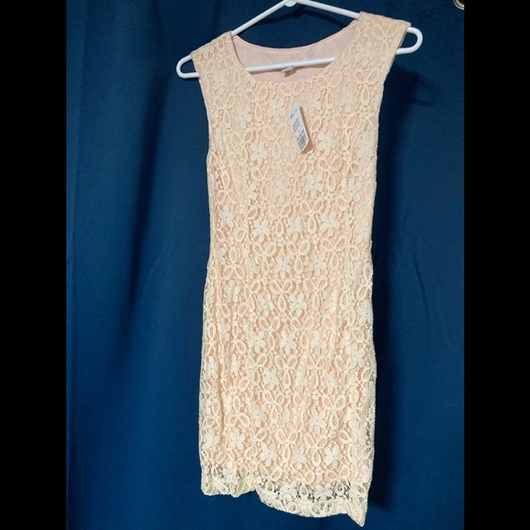 NWT Forever 21 - Light Pink/Cream Lace Dress - Picture 1 of 3